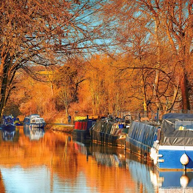 autumn leaves and trees on the canal