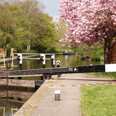 canal lock next to tree with pink leaves